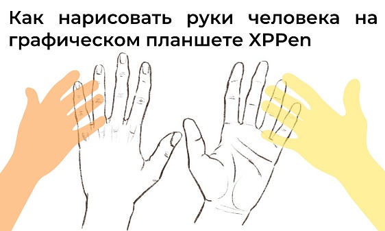 Как нарисовать руки человека на графическом планшете XPPen